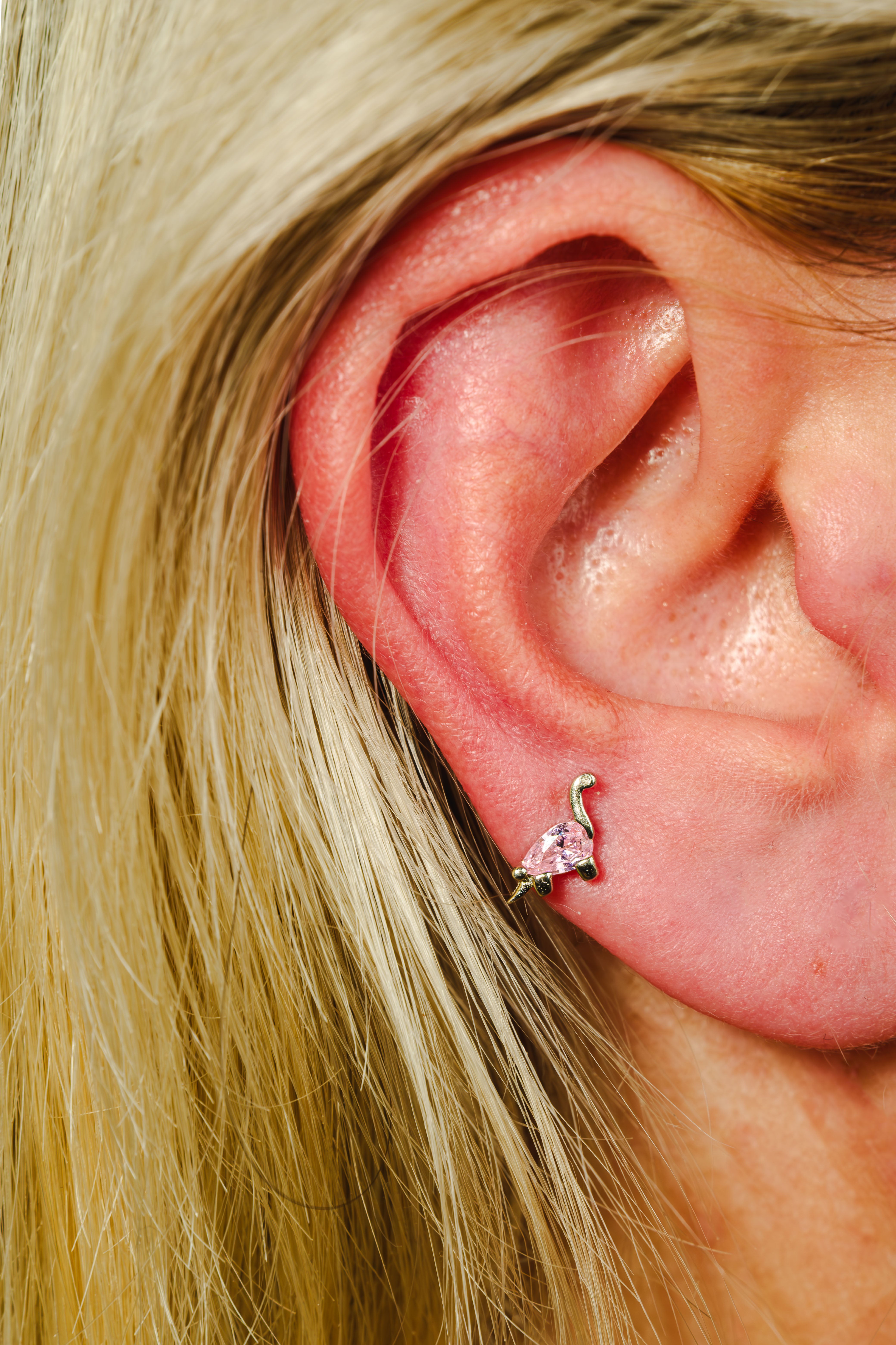 Pink Dinazor Piercing
