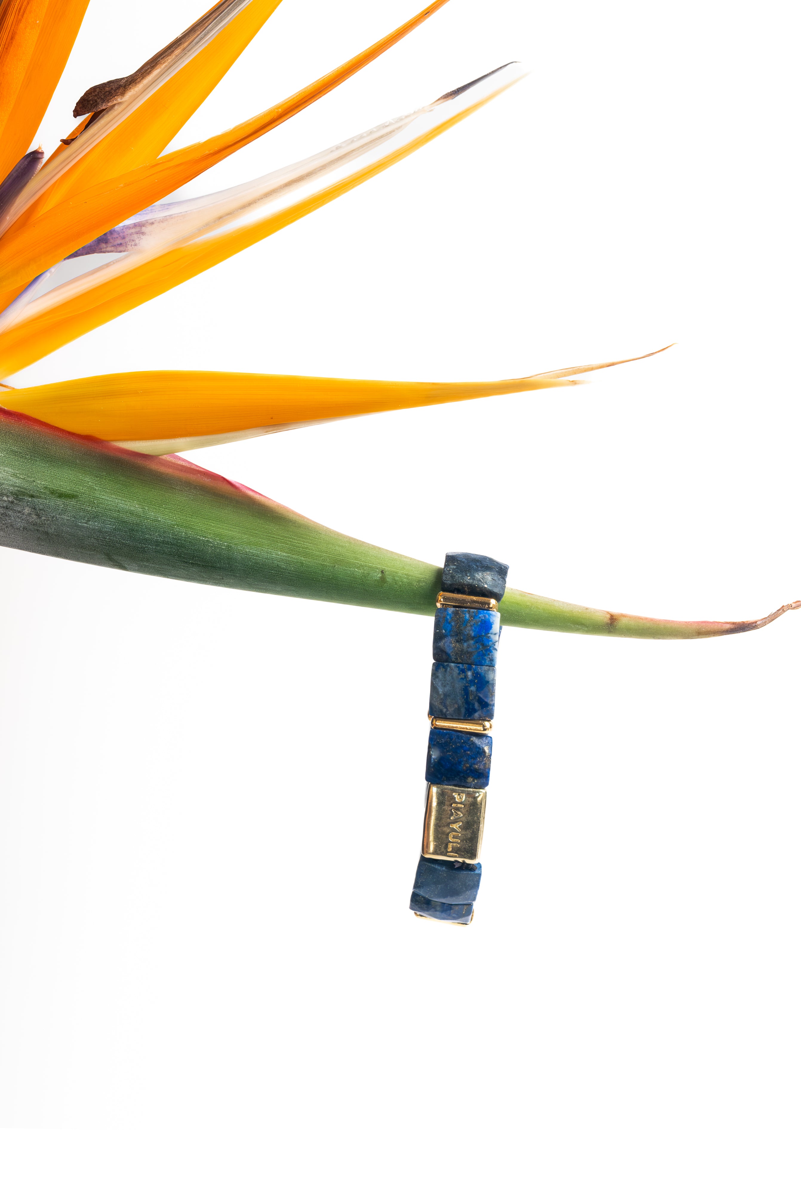 Lapis Lazuli Natural Stone | Wise Bracelet