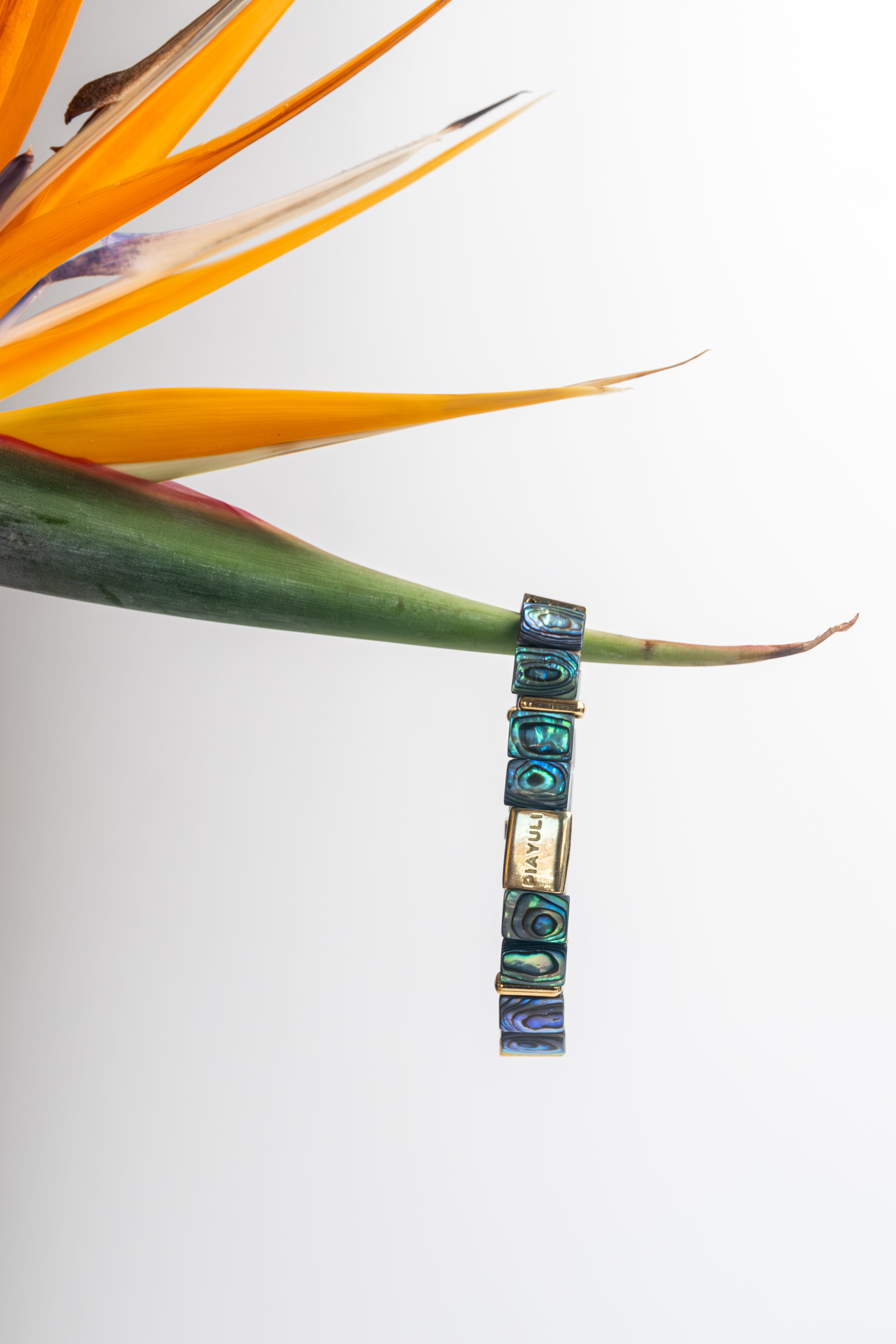 Ocean Pearl Natural Stone | Freedom Bracelet