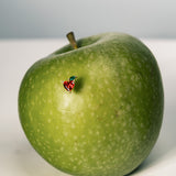 Red Apple Piercing