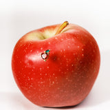 Red Apple Piercing