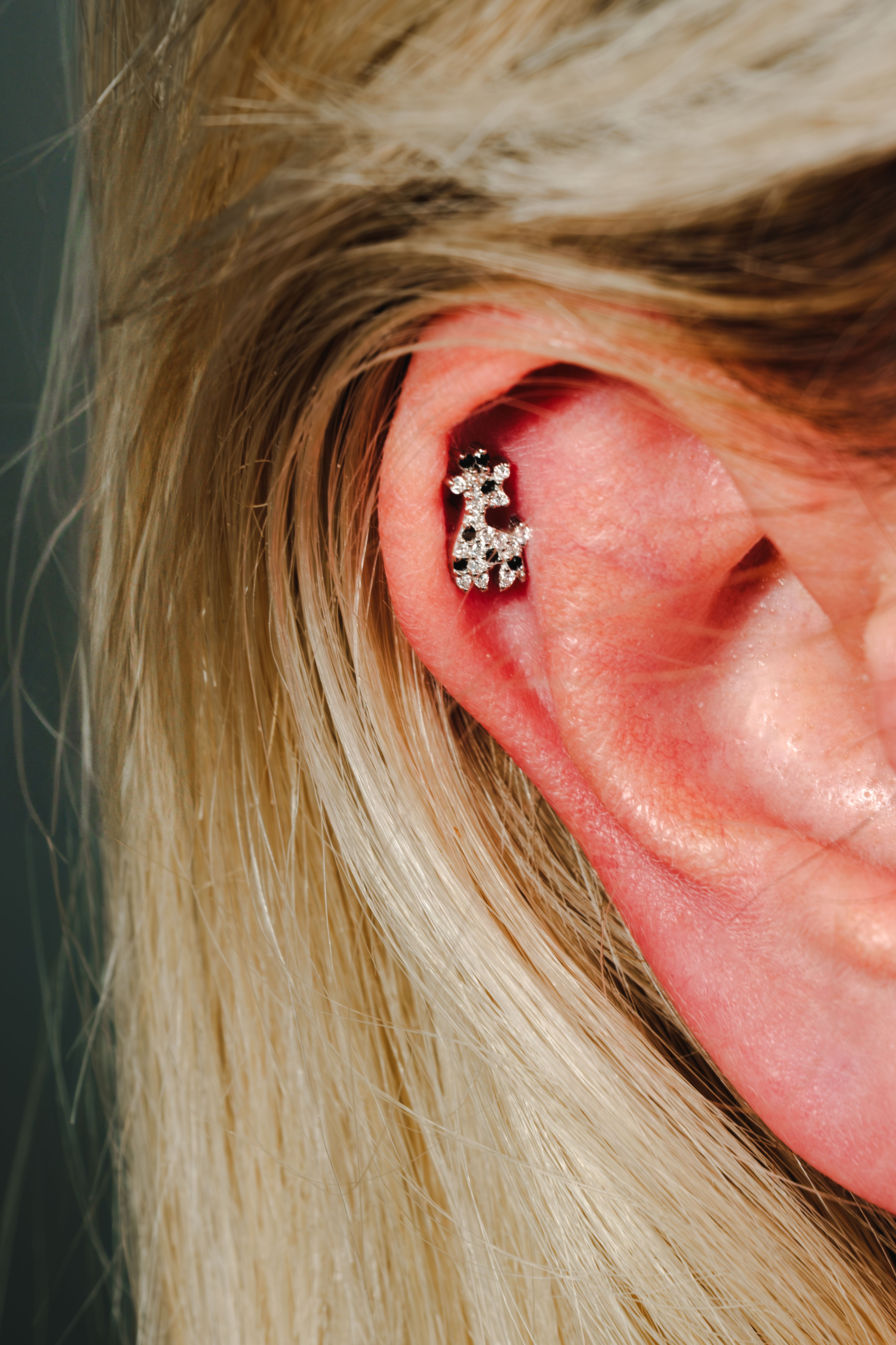 Giraffe Piercing