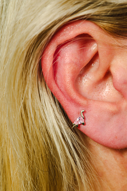 Pink Dinazor Piercing