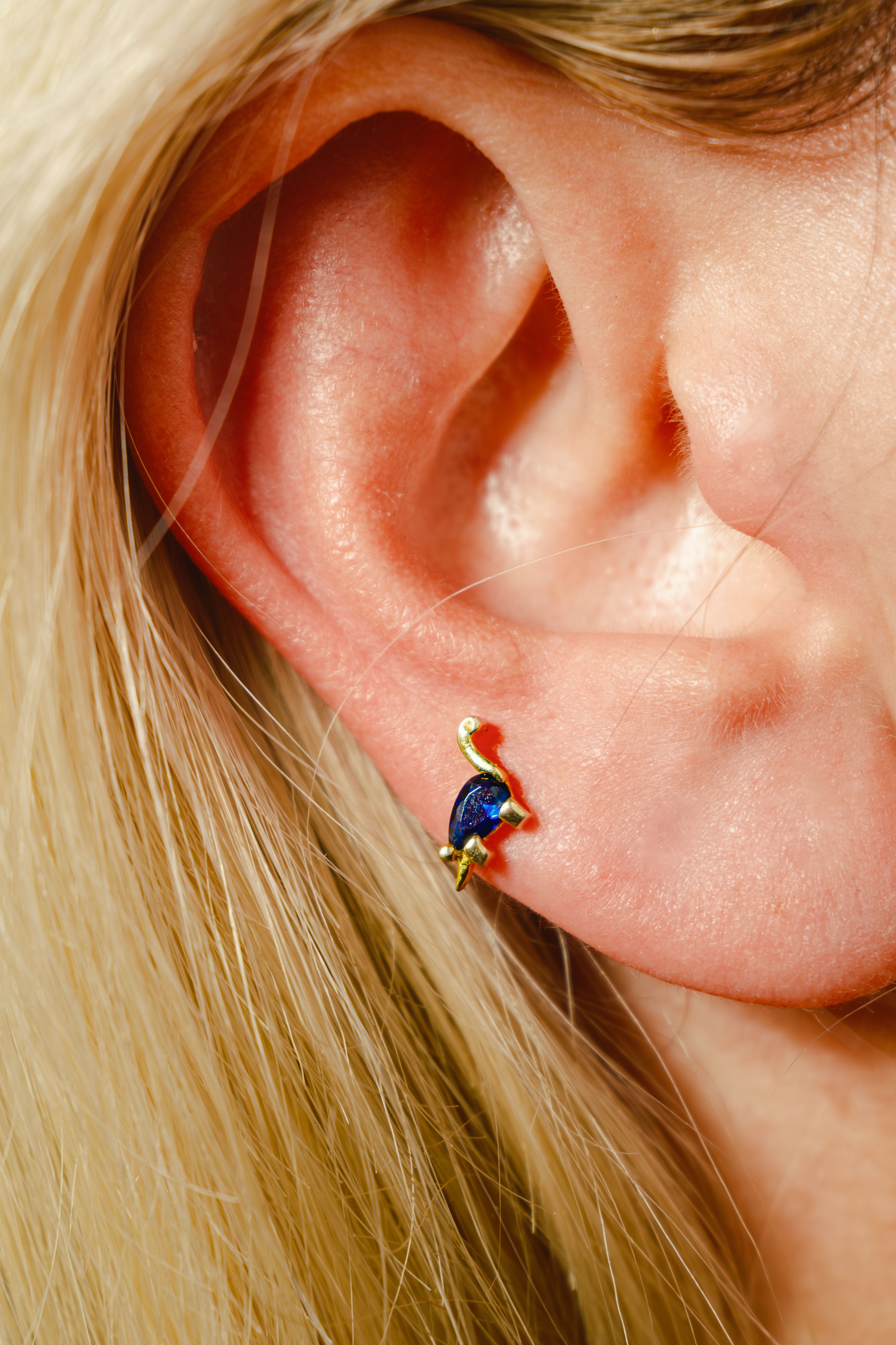 Blue Dinosaur Piercing